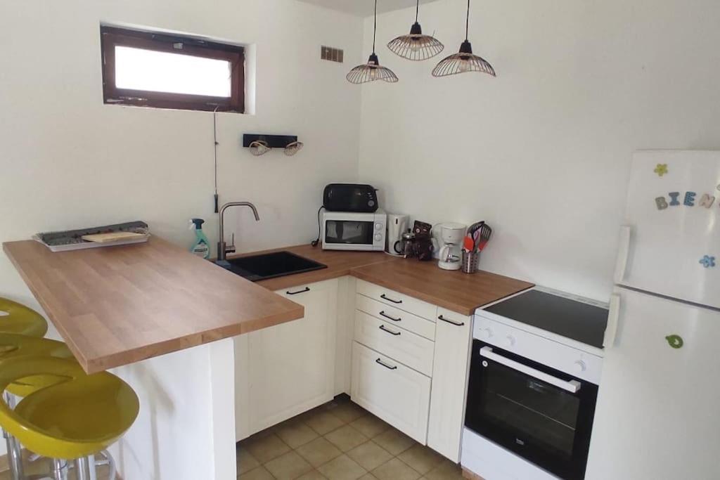 Appartement Au Fond Du Jardin Saint Jean du Pin Extérieur photo